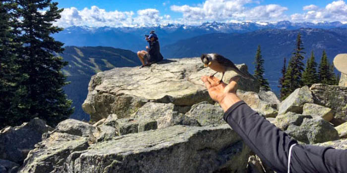 70 decades of hikes - eager birds and great views