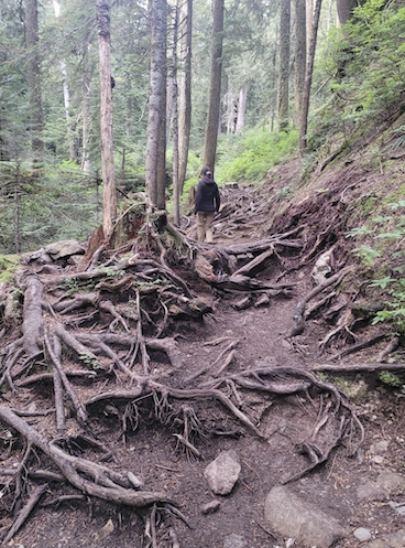 BC Trail Tracker and Trails Update for the Lower Mainland